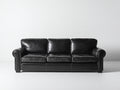 Canapé 3 places-Cuir-225x95x82 cm-Noir-Style classique